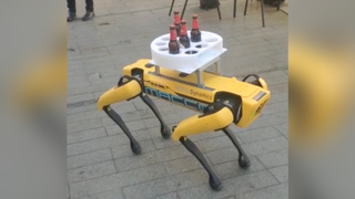 Aparece un perro robot de Boston Dynamics sirviendo cerveza en Sevilla